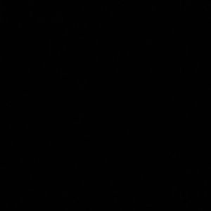 Meet your Posher, Terry